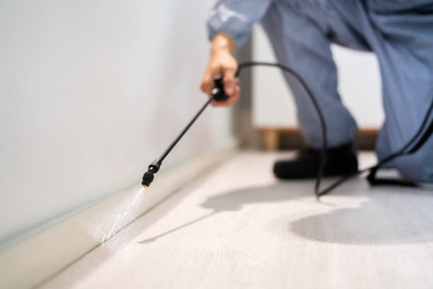 Licensed Termite Control service in Mantachie, MS - Nex Pest Control