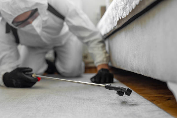 Professional Termite Control technician working in Mantachie, MS