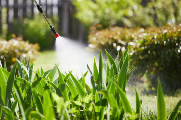 24/7 Emergency Termite Control experts in Mantachie, MS