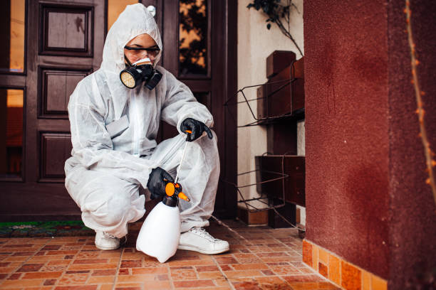 Reliable Termite Control contractor in Mantachie, MS by Nex Pest Control