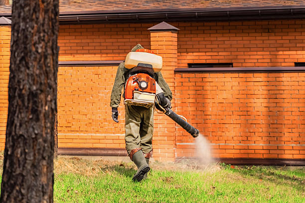Top rated local Termite Control specialists in Mantachie, MS